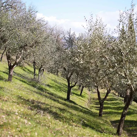 Chianti With Panoramic Views & Private Pool